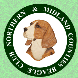 Northern \u0026 Midland Counties Beagle Club